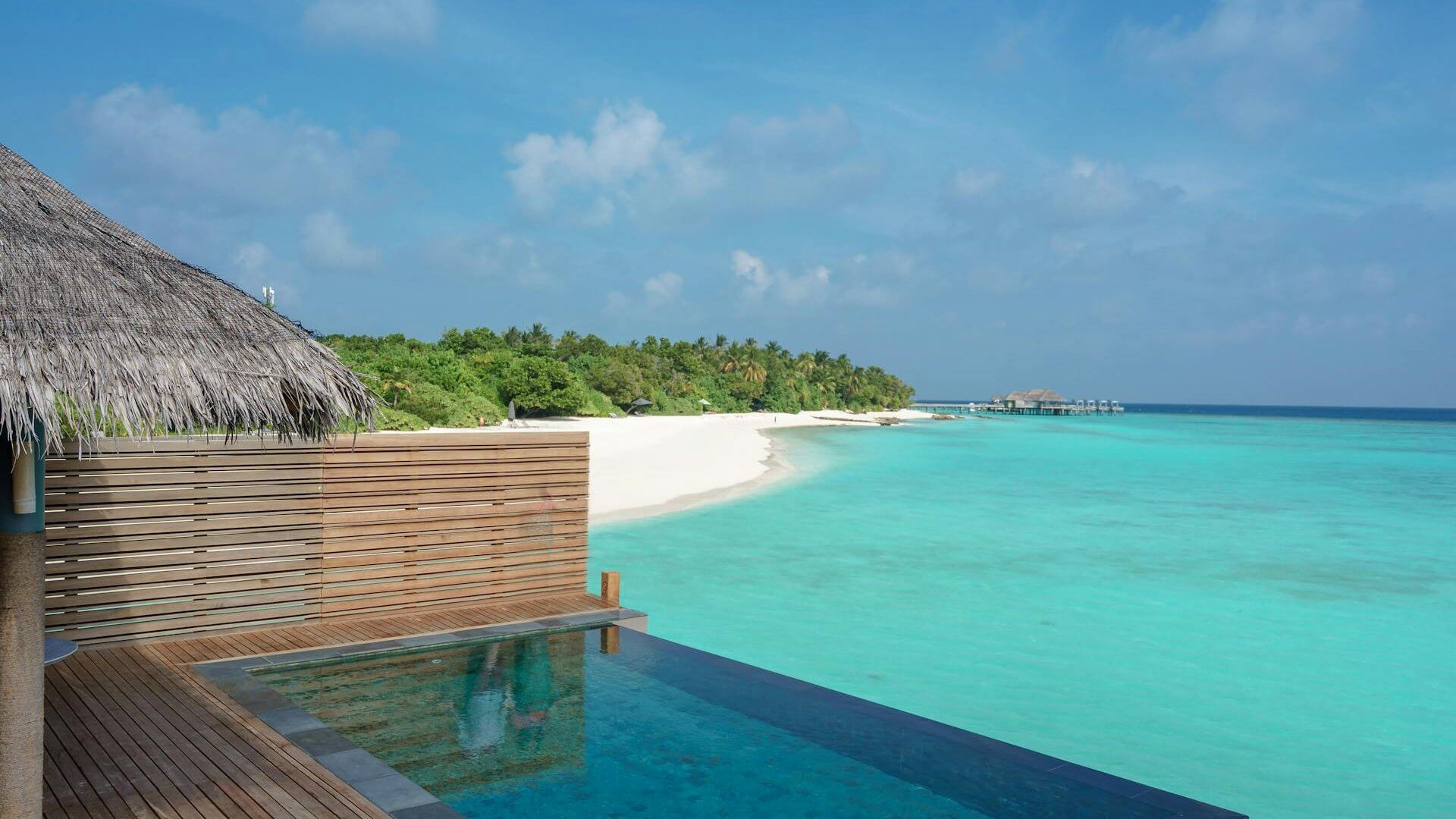 life energy assessment product